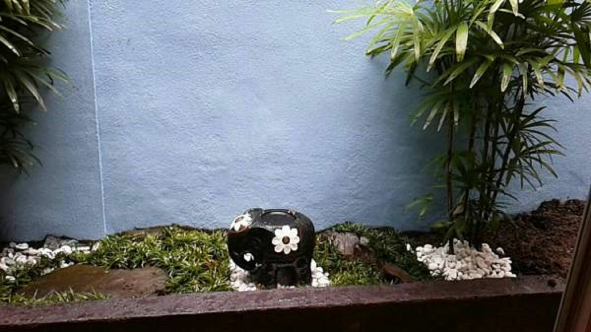 Azzurro Elefante Villa Kyoto Eksteriør bilde
